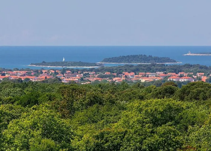 Stefanja Modern Retreat